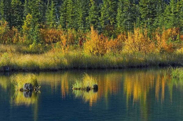 Canada, Banff NP Vermillion Lake in fall